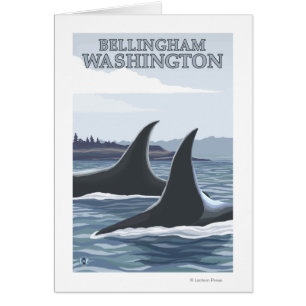 Orca Whales #1 - Bellingham, Washington