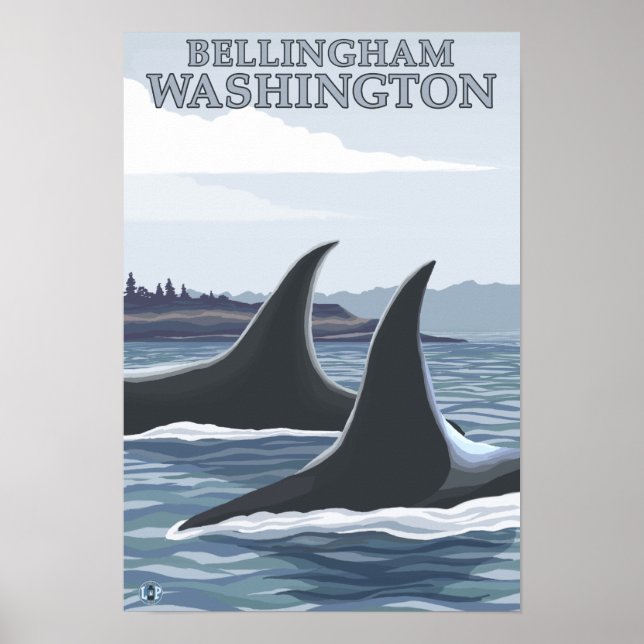 Orca Whales #1 - Bellingham, Washington Poster (Front)