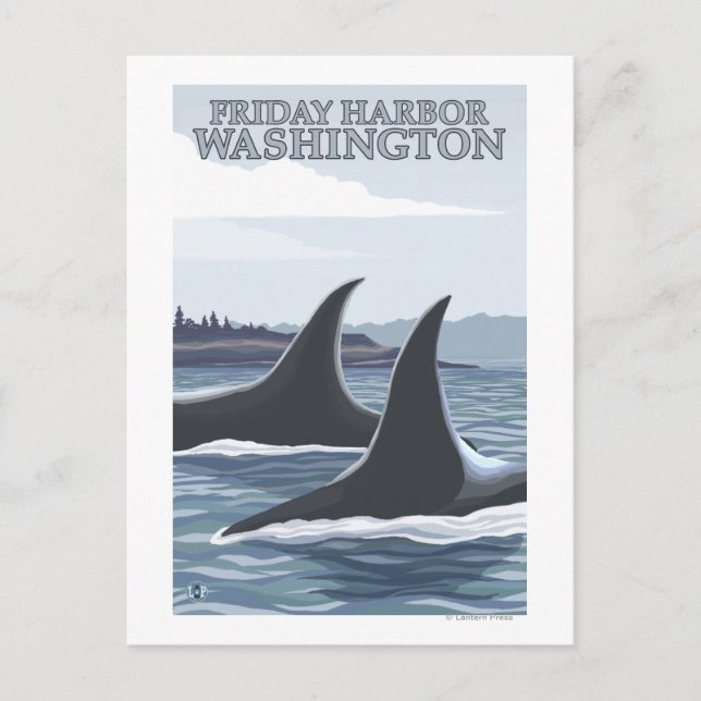 Orca Whales #1 - Friday Harbour, Washington Postcard (Front)