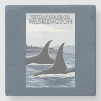 Orca Whales #1 - Friday Harbour, Washington
