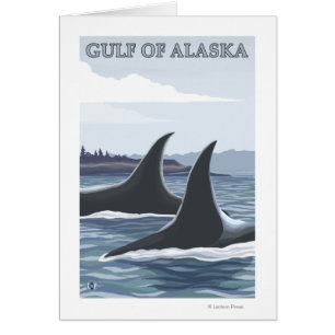Orca Whales #1 - Gulf of Alaska