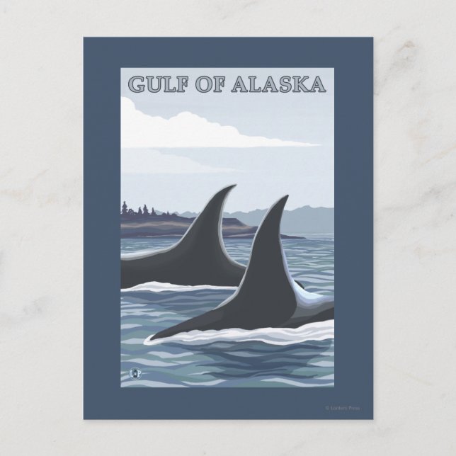 Orca Whales #1 - Gulf of Alaska Postcard (Front)