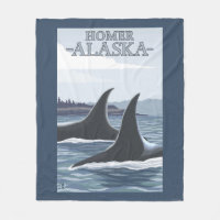 Orca Whales #1 - Homer, Alaska