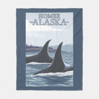 Orca Whales #1 - Homer, Alaska