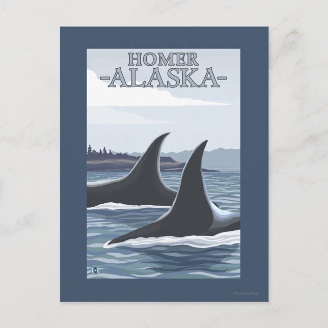 Orca Whales #1 - Homer, Alaska Postcard (Front)