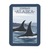 Orca Whales #1 - Juneau, Alaska