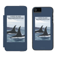 Orca Whales #1 - Lopez, Washington