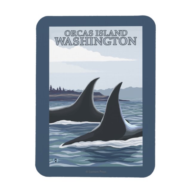 Orca Whales #1 - Orcas Island, Washington Magnet (Vertical)