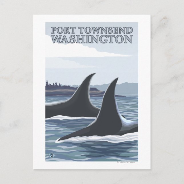 Orca Whales #1 - Port Townsend, Washington Postcard (Front)