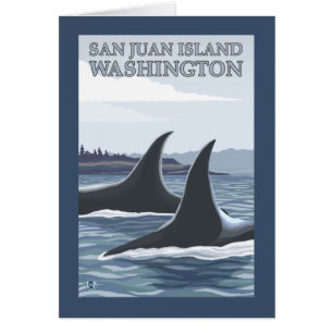 Orca Whales #1 - San Juan Island, Washington