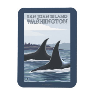 Orca Whales #1 - San Juan Island, Washington Magnet
