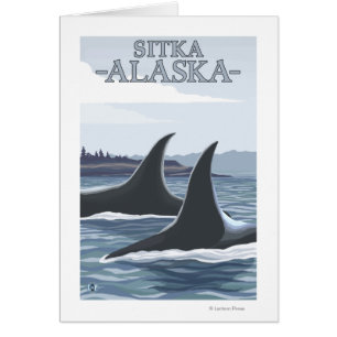Orca Whales #1 - Sitka, Alaska