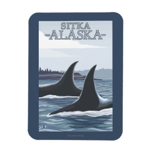 Orca Whales #1 - Sitka, Alaska Magnet