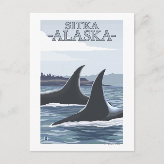 Orca Whales #1 - Sitka, Alaska Postcard (Front)