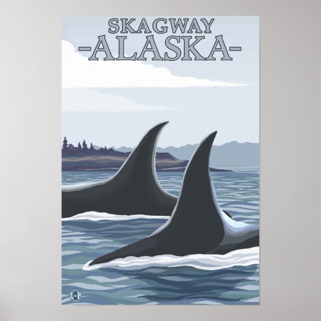 Orca Whales #1 - Skagway, Alaska Poster (Front)