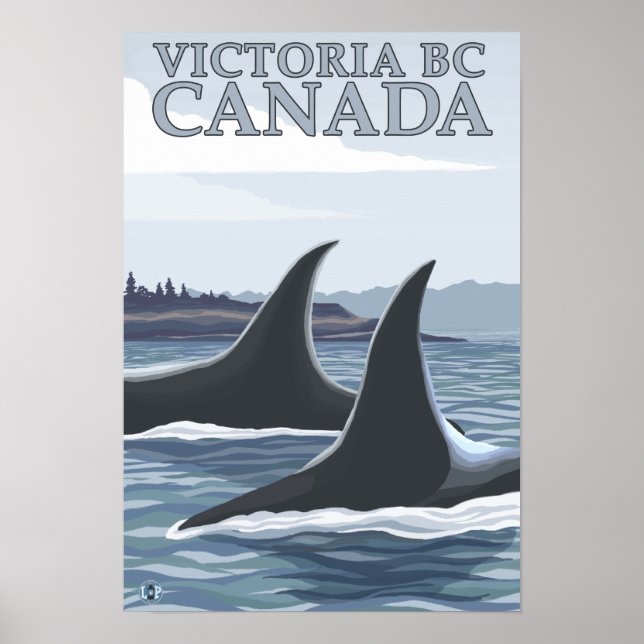 Orca Whales #1 - Victoria, BC Canada Poster (Front)