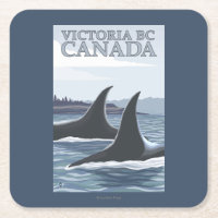Orca Whales #1 - Victoria, BC Canada
