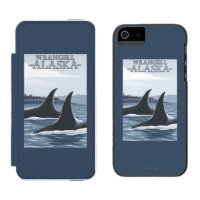 Orca Whales #1 - Wrangell, Alaska
