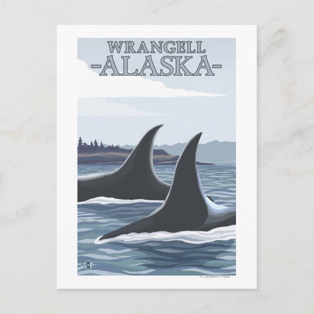 Orca Whales #1 - Wrangell, Alaska Postcard (Front)