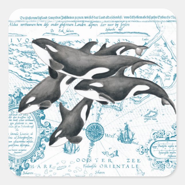 Orca  whales ancient blue square sticker (Front)
