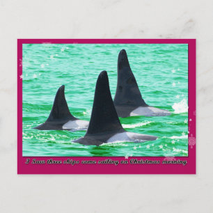 Orca Whales Come Sailing on Christmas Day Holiday Postcard