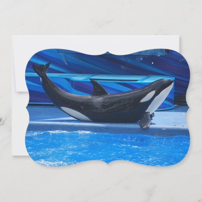 Orca Whales Invitation (Front)