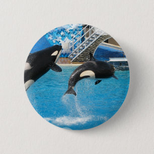 Orca Whales Pin