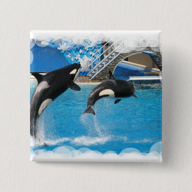 Orca Whales Square Button (Front)