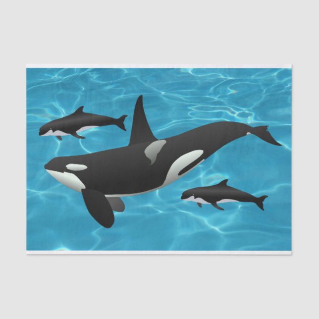 Orca Whales Tissue Paper (Front)