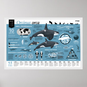 Orcagraphic poster - Dutch edition