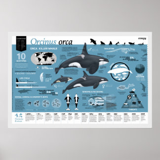 Orcagraphic poster - English edition