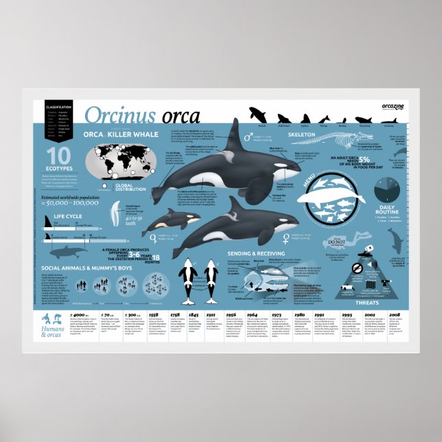 Orcagraphic poster - English edition (Front)