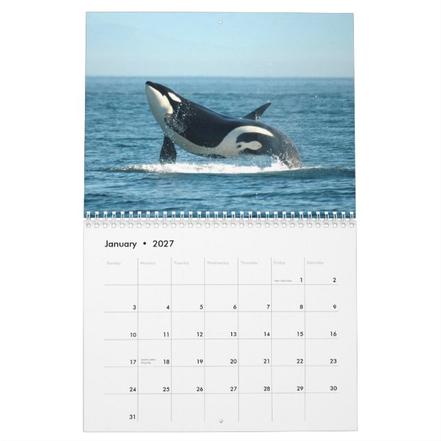 Orcas ~ 2012 Calendar (Jan 2027)