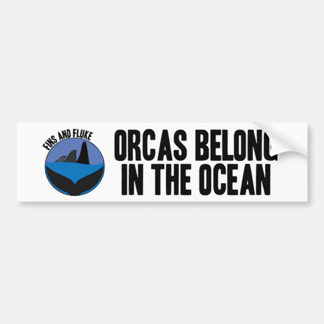 Orcas Belong in the Ocean Bumper Sticker (Front)