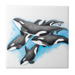 orcas in blue ceramic tile