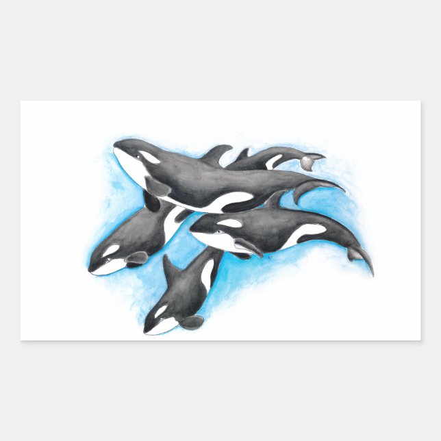 orcas in blue rectangular sticker (Front)