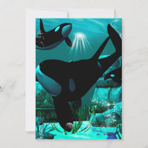 Orcas Invitation