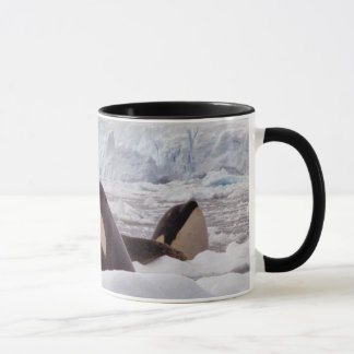 Orcas Spyhopping Mug
