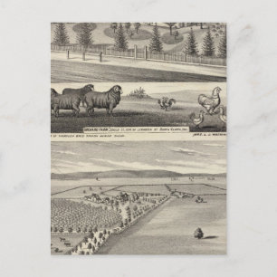 Orchard Farm, Somerville Lodge Postcard