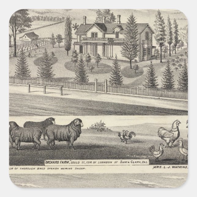 Orchard Farm, Somerville Lodge Square Sticker (Front)