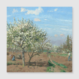 Orchard in Bloom, Louveciennes  Camille Pissarro 