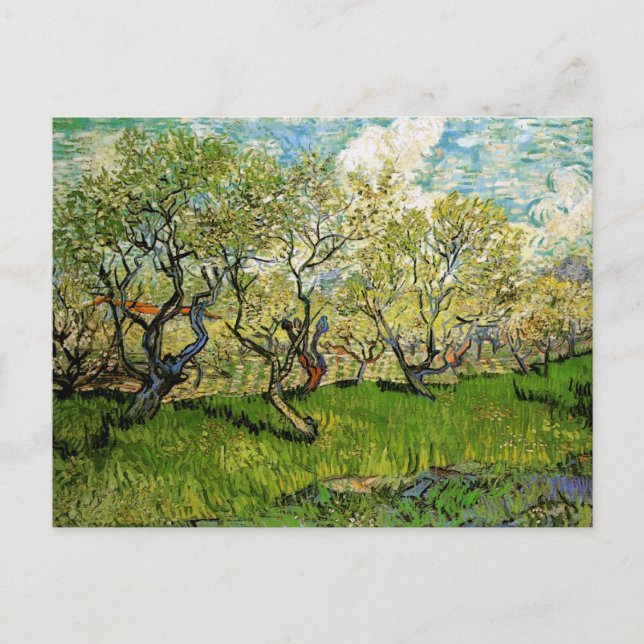 Orchard in Blossom Amsterdam Van Gogh Fine Art Postcard (Front)