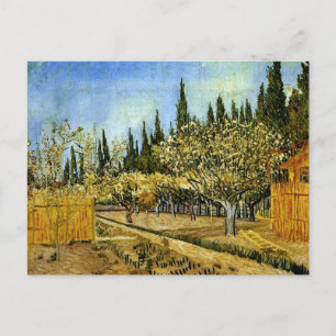 Orchard in Blossom, Cypresses, Vincent van Gogh Postcard