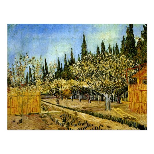 Orchard in Blossom, Cypresses, Vincent van Gogh Postcard