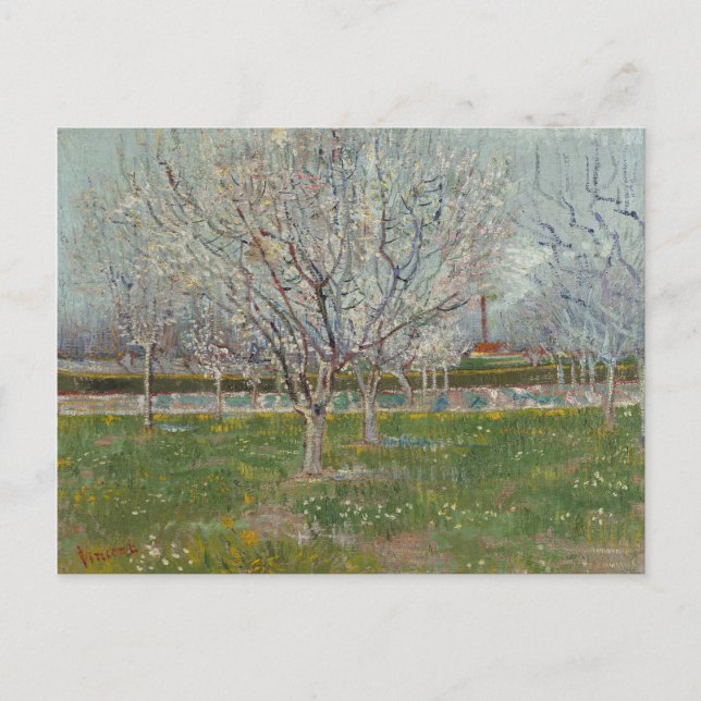 Orchard in Blossom Plum Trees by Vincent Van Gogh Postcard (Front)