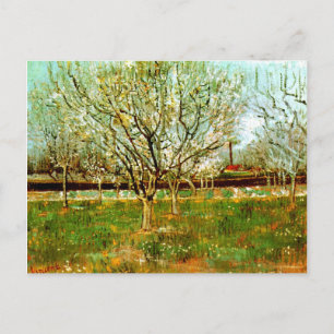 Orchard in Blossom (Plum Trees), Vincent van Gogh Postcard
