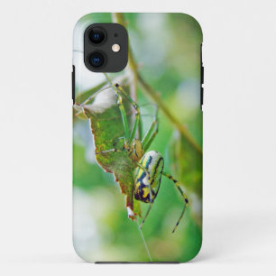 Orchard Orbweaver Spider - Leucauge venusta iPhone 11 Case