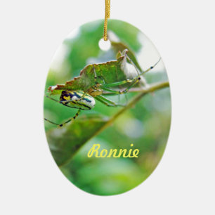 Orchard Orbweaver Spider - Leucauge venusta Ceramic Ornament