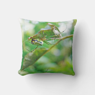 Orchard Orbweaver Spider - Leucauge venusta Cushion