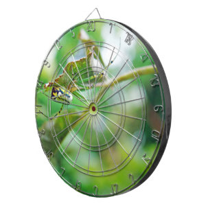 Orchard Orbweaver Spider - Leucauge venusta Dartboard